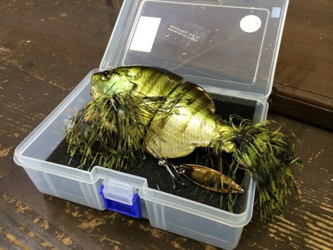 {1B6E7F3A-8F71-435B-B7E4-57B8B546FBDA:01}