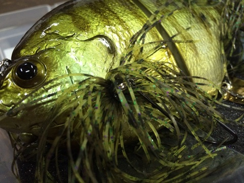 {C84D6FF1-475F-4D13-A2EC-98E6B2B4C113:01}