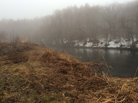 {00693CF5-B0AB-4155-B5C1-E8416048FBF1:01}