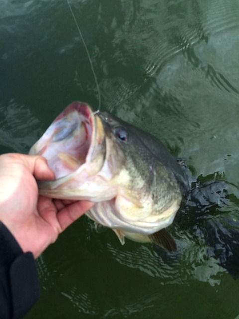 {88E5B4B3-6120-4C65-9607-4F4BDC585404:01}