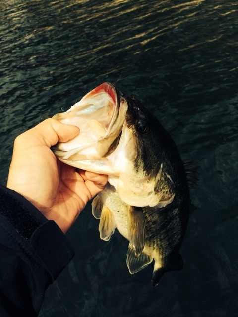 {59D9BA16-94DE-4A16-9F20-34371703B953:01}