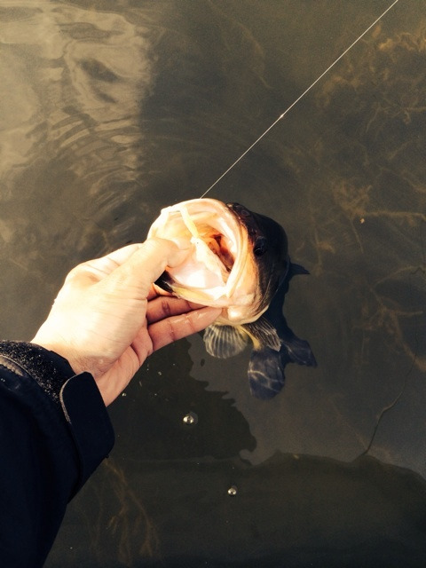 {D1878546-5FA6-4CE7-9516-FC04D88F18B3:01}