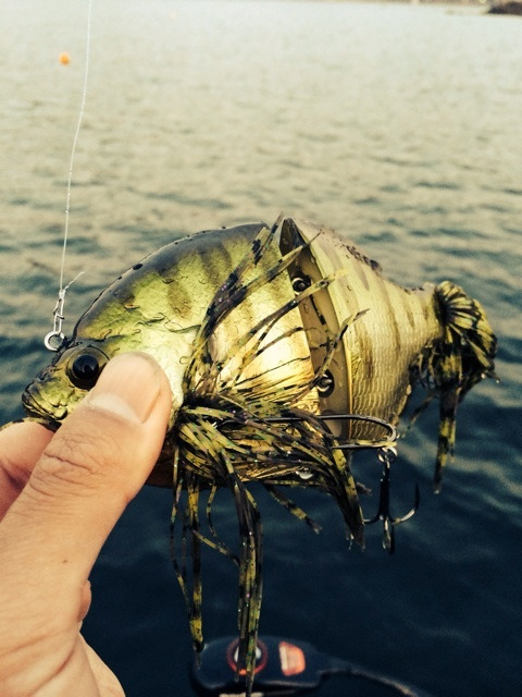 {E4F54E1B-4114-4762-B966-6E59C33F215A:01}