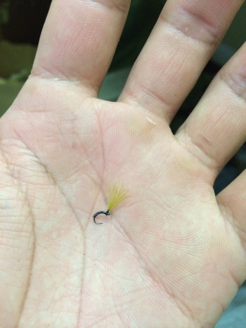 {34EE54F1-0D94-4D88-BB69-D096DA28EACD:01}