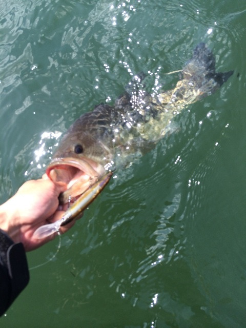 {6C02A150-B8F3-4B5D-8934-0EC7360E43A7:01}