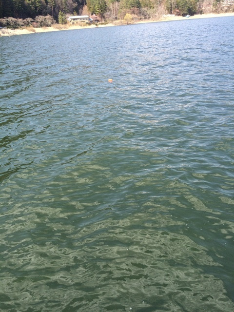 {F46E1805-22BF-4EED-947B-2984A97A694D:01}