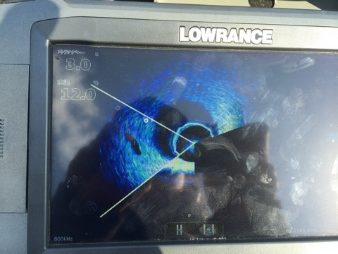 {C8E8BB4A-B3FF-4D64-B242-C5DCF890C4AF:01}