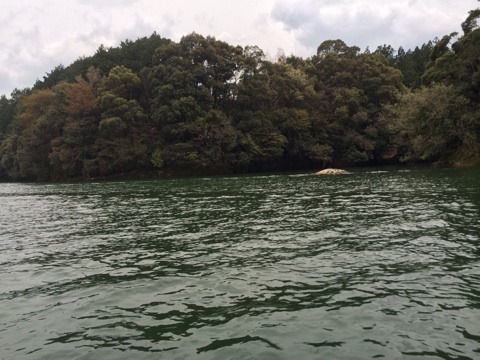 {0487CDD4-EE2D-4A59-B770-FB2E8A7DB596:01}