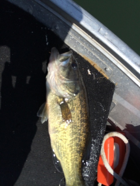 {4AFDE3AF-59D7-47B7-8387-0C033356F7FA:01}