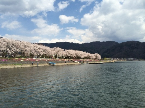 {774B8F61-AE09-4DA9-9CF9-A74D2C3C1E38:01}