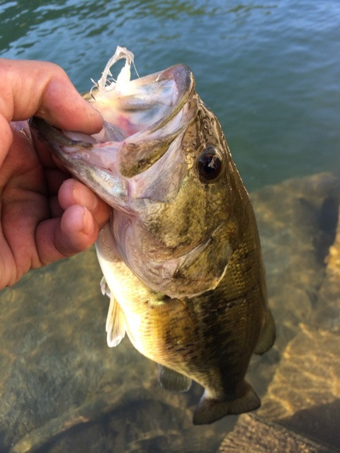 {D11E7B43-B22E-4232-A426-9CF88E99061A:01}