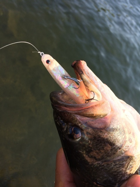 {48C822C8-14AB-45D8-B769-DEEE13CFE3E8:01}