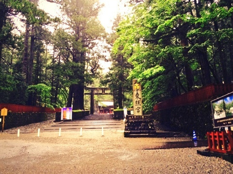 {6D2AF205-7A34-43D9-859E-4277D004CCD8:01}