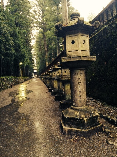 {D3A1B912-72EC-4B85-A6D6-F1520F38D24F:01}