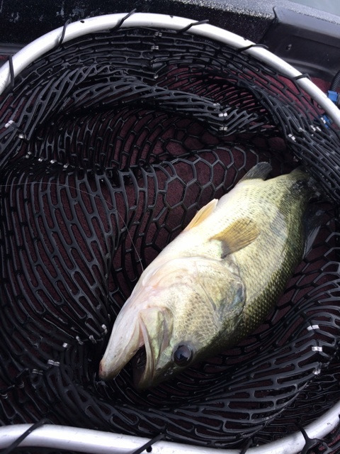 {5A1CFCDC-D893-4A90-8733-5A913553DA39:01}