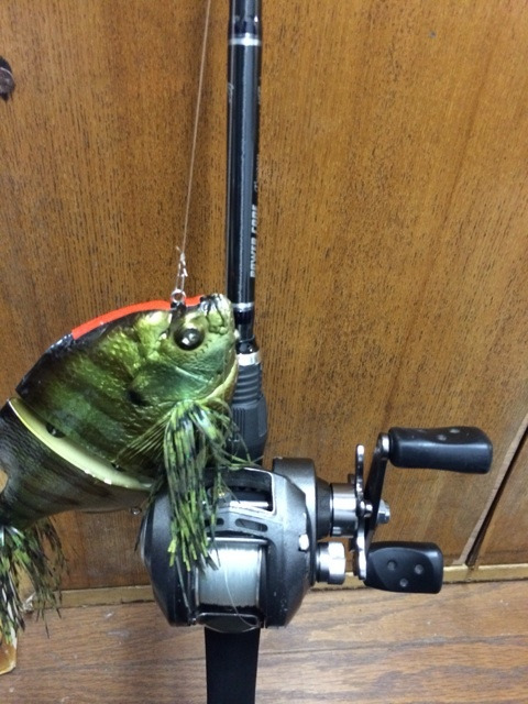 {3224184E-35D8-4B52-8995-E4C2C9A07CD5:01}