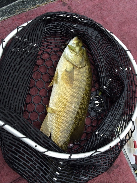 {3A2C6A50-3DA4-4184-8154-AD9CA3A525CB:01}