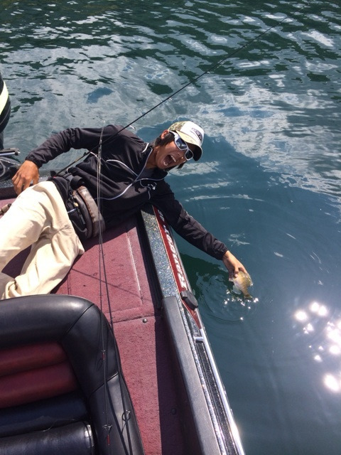 {FA1F3467-7C25-47DD-B456-0DA3AF0CAA96:01}