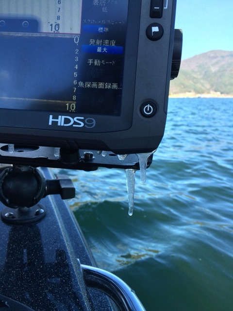 {68558581-CFA3-481B-8671-B9501D8B74C2:01}