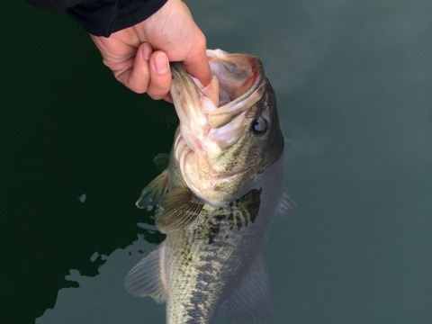 {151495BF-8001-44FE-8EE9-19E984AB72ED:01}