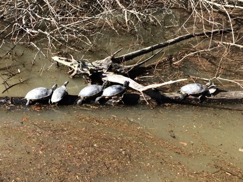 {EAF1D917-2C02-4668-B5E5-E46EBDDCE0A7:01}