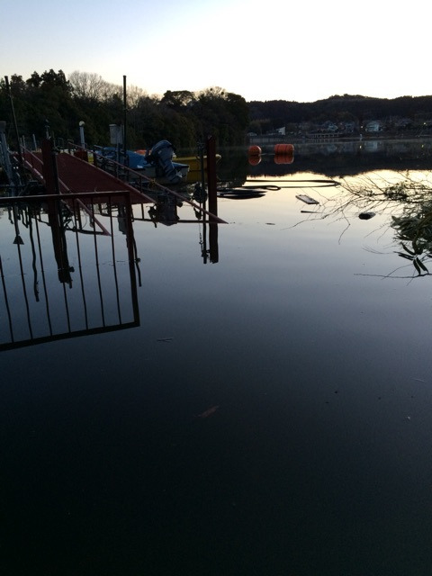 {56836D1C-EEDD-4359-A5F0-015F28FF21F3:01}