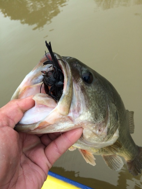 {F015D6A0-4C3A-40D6-9C78-0FE40778295C:01}