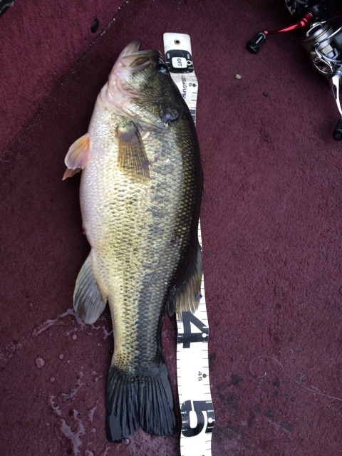 {E839F76C-1300-49EA-93FF-2814E6A5DA07:01}