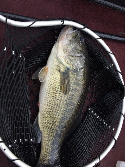 {585AC58B-7C10-41B2-8AA6-721569E8EA51:01}