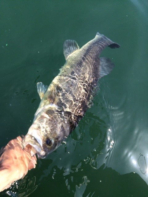 {18B59EE3-041B-4F80-92A7-01C9471CE348:01}