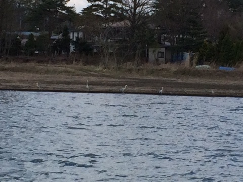 {C10BD4A4-E71D-4C88-A9B1-35A5AB50CFF0:01}