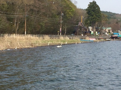 {50AA98B5-2DA4-4DE0-A604-AA4CD312B169:01}