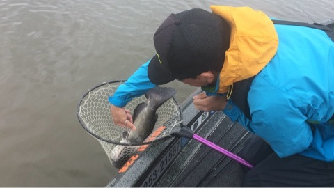 {8CA8F2F9-F5FB-401C-9B3F-EB4F63C12521:01}