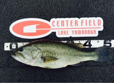 {F1A44A45-7705-4A9B-8ACE-CC46A73BB6A6:01}