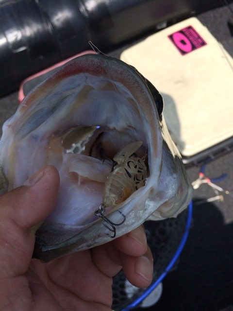 {7B4C42FC-9CD3-445B-9F2A-3EB90F152A9A:01}