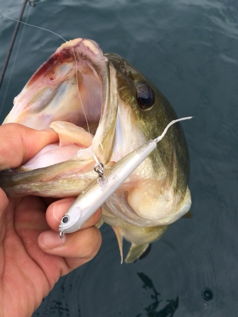 {95B146D6-3F90-4161-9A89-1F38B919CE29:01}