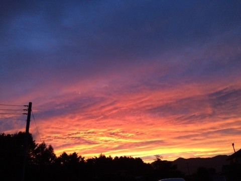 {85EEA830-11D6-47CE-9DA1-71118A484347:01}