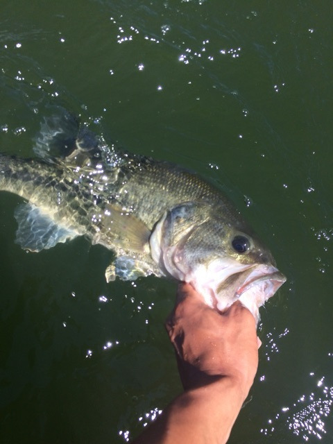 {B6829C26-E2B3-4515-82AA-643444FB2ADA:01}