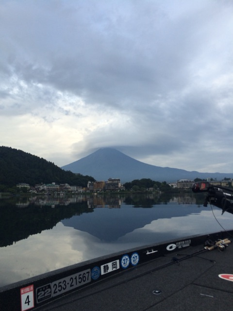 {C721A1F4-42C8-4FC6-AF06-4DE72B4F1665:01}