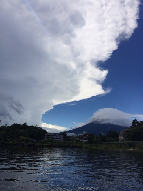 {CE1C6095-86F6-46B3-B9B5-0AFAEC0F94E0:01}