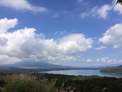 {34F5DB35-B4B7-4FAD-9A80-4F35BDFEC909:01}