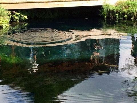 {96ECB08F-C22E-487A-AF0A-18DD9B303C8E:01}