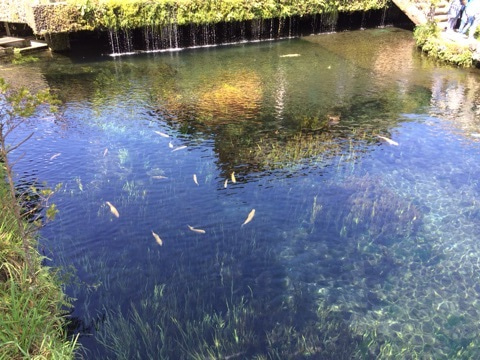 {863C01D3-CDA2-4B13-A5D6-57EAE27BFE30:01}