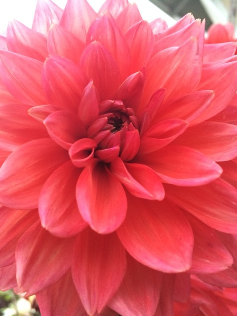 {84C0E7D8-C39D-4256-8982-A1CEBB56874E:01}