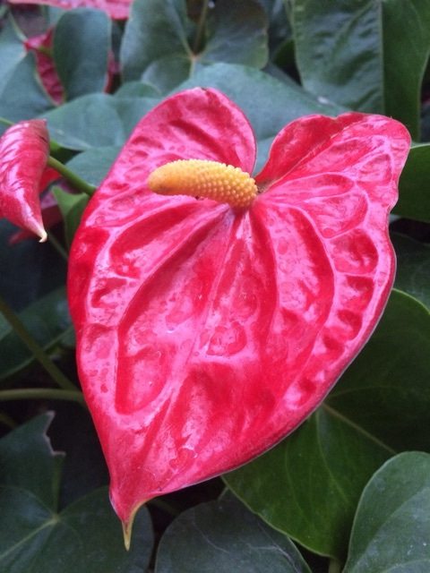 {AB2CBB8C-1938-4DF9-8D2E-30F87B0B1A5C:01}