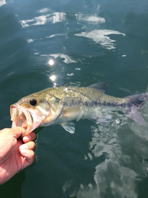 {7607C963-69AF-4887-860C-2BADDC389690:01}