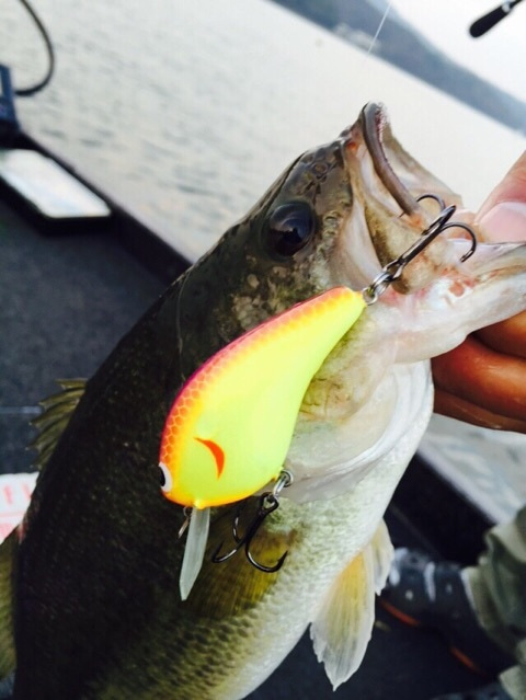 {7D139293-9051-42E0-8227-6270FA52EE41:01}