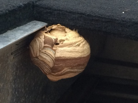 {EDA774C5-3A05-48F2-8C84-462CA20DBE76:01}