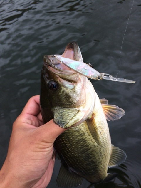 {995B2F41-1166-43EB-9A17-A67EE8C7C101:01}