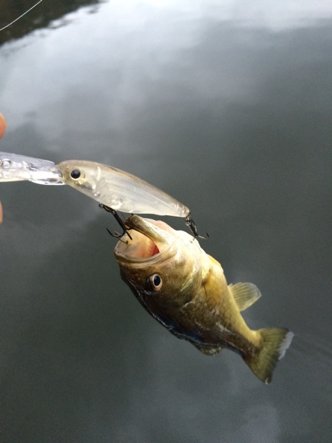 {487CF9C2-8D81-43AE-9560-6646305B77FD:01}